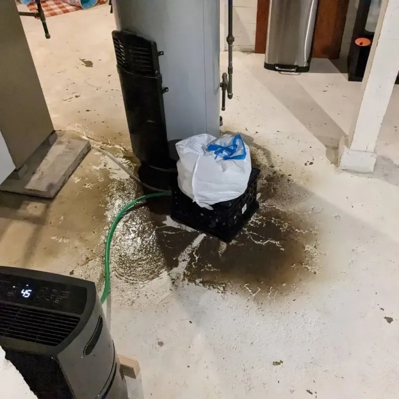 Sewage Backup Cleanup Service in Manila, UT